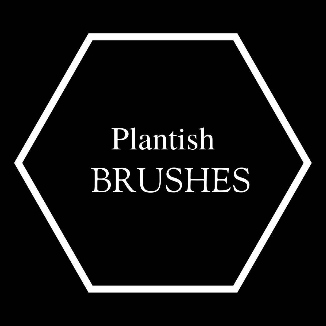Coconut Bottle Brush – Plantish