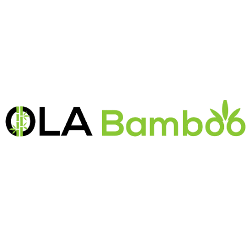 Ola Bamboo logo featuring green bamboo-inspired text and eco-friendly design