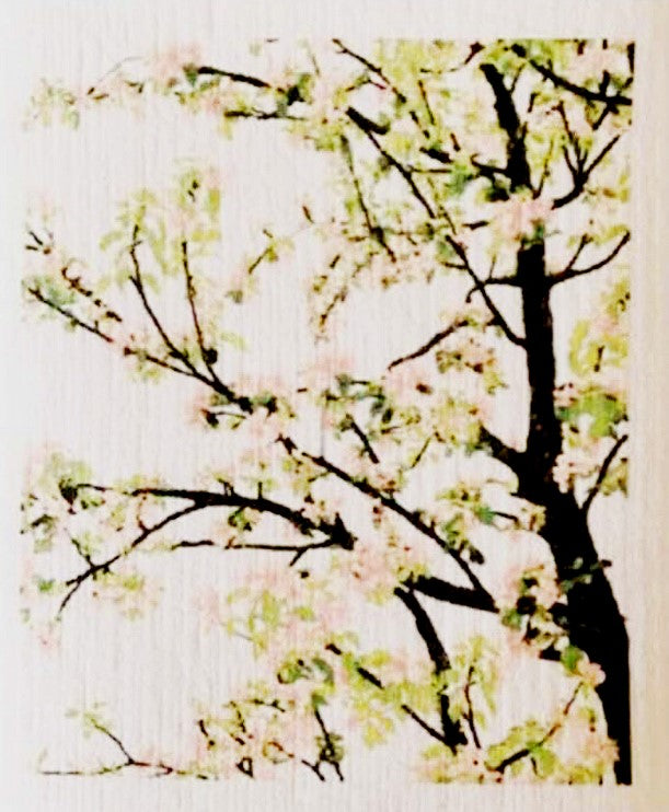 absorbent compostable Swedish sponge cloths by more joy in an apple blossom pattern