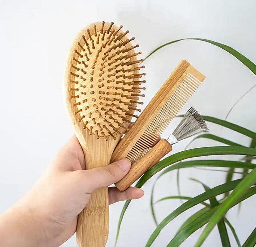 Hand holding Plantish Bamboo Hair Brush Set including bamboo comb and brush cleaner beside green houseplant – eco-friendly plastic-free hair tools