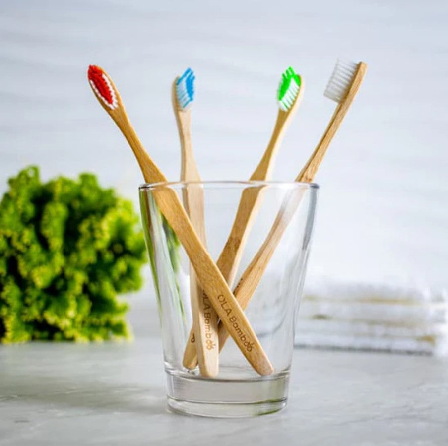 Canadian-made OLA Bamboo Toothbrush Set of 4 - the toothbrushes in red, blue, green and white brush heads sit in a clear glass.