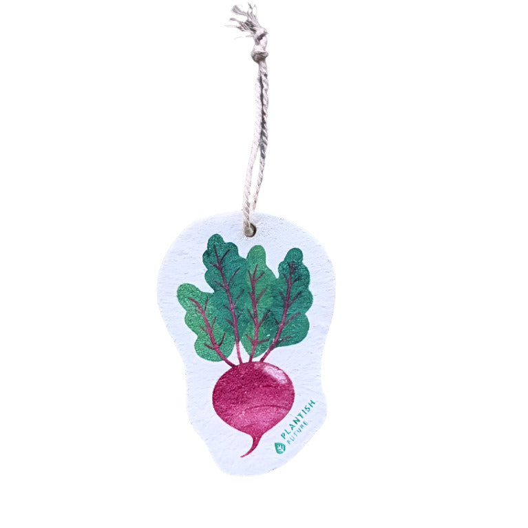 Farm to Kitchen Pop Up Sponges