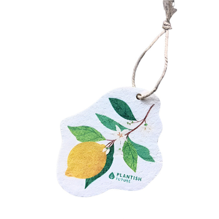 Farm to Kitchen Pop Up Sponges