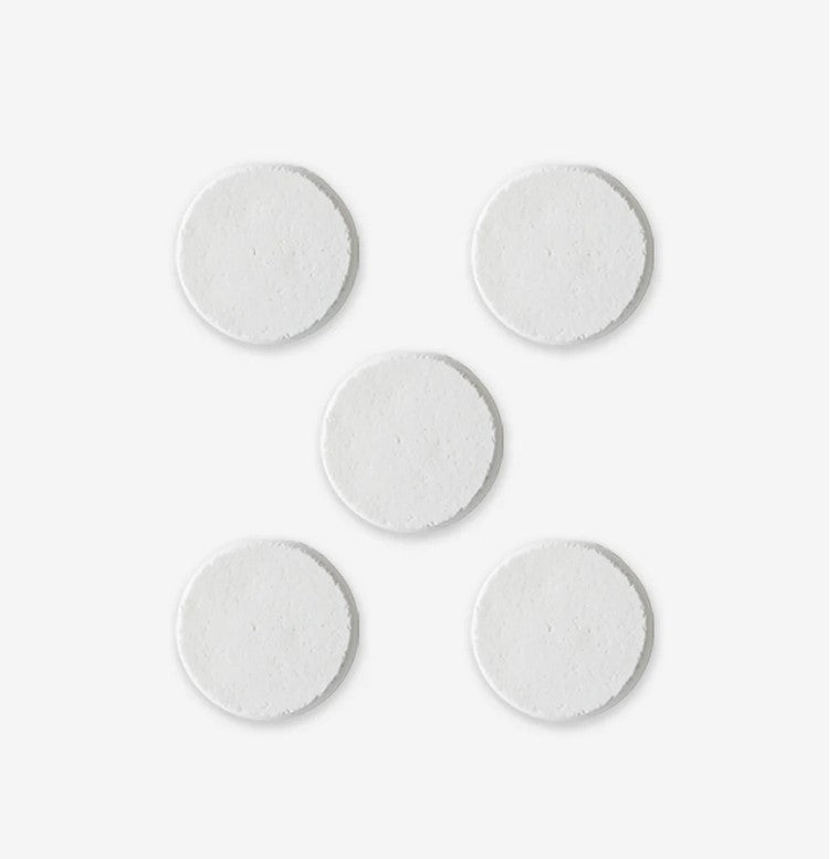 A collection of 5 individual Canadian handmade eucalyptus mint shower steamers on a white background.