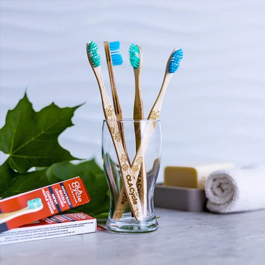 Canadian-made OLA Bamboo Toothbrush Set of 4 - the toothbrushes two blue and two teal brush heads sit in a clear glass.