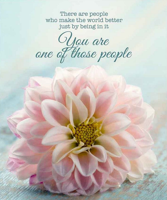 Compostable eco sponge cloth made of cellulose and cotton featuring a pink flower on a light blue background with a message  replaces paper towel by absorbing 20x its weight in liquid. Size 20 x 17 cm