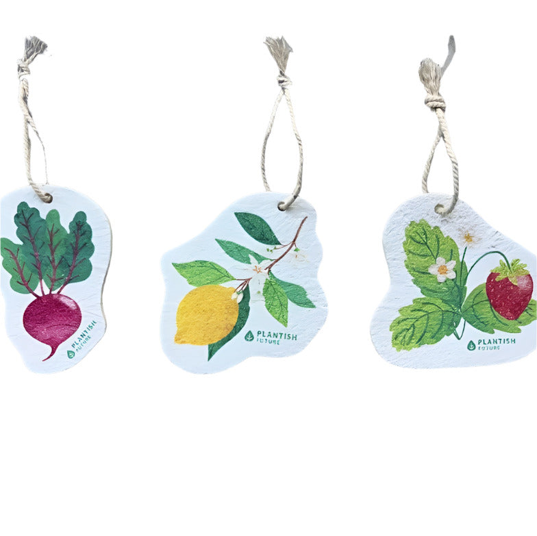 Inspired by the vibrant colors of a flourishing garden, this set of three compostable sponges features unique patterns: Beet Green, Lemon Grove, and Strawberry Patch. Shown on a white background
