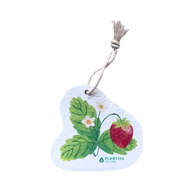 Farm to Kitchen Pop Up Sponges