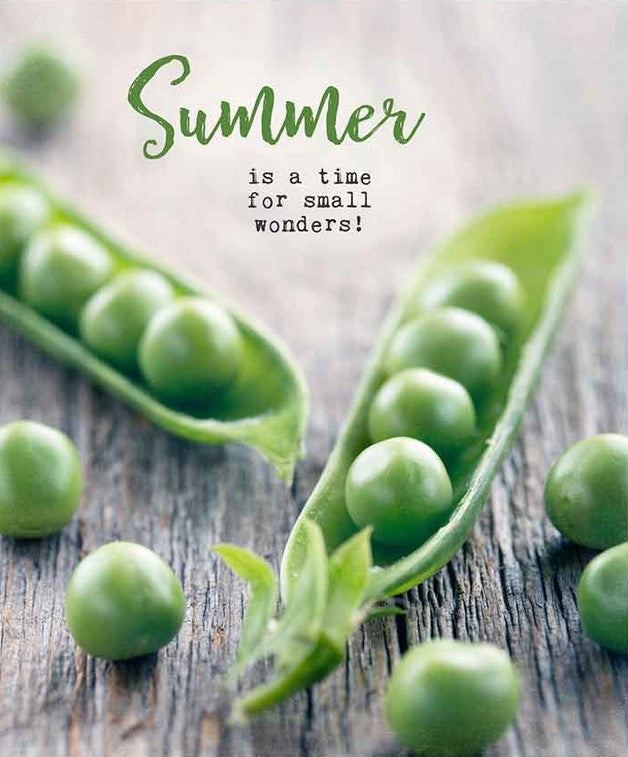 Compostable eco sponge cloth made of cellulose and cotton featuring peas in a pod on a light grey background with the saying, 'Summer is a time for small wonders!'  replaces paper towel by absorbing 20x its weight in liquid. Size 20 x 17 cm