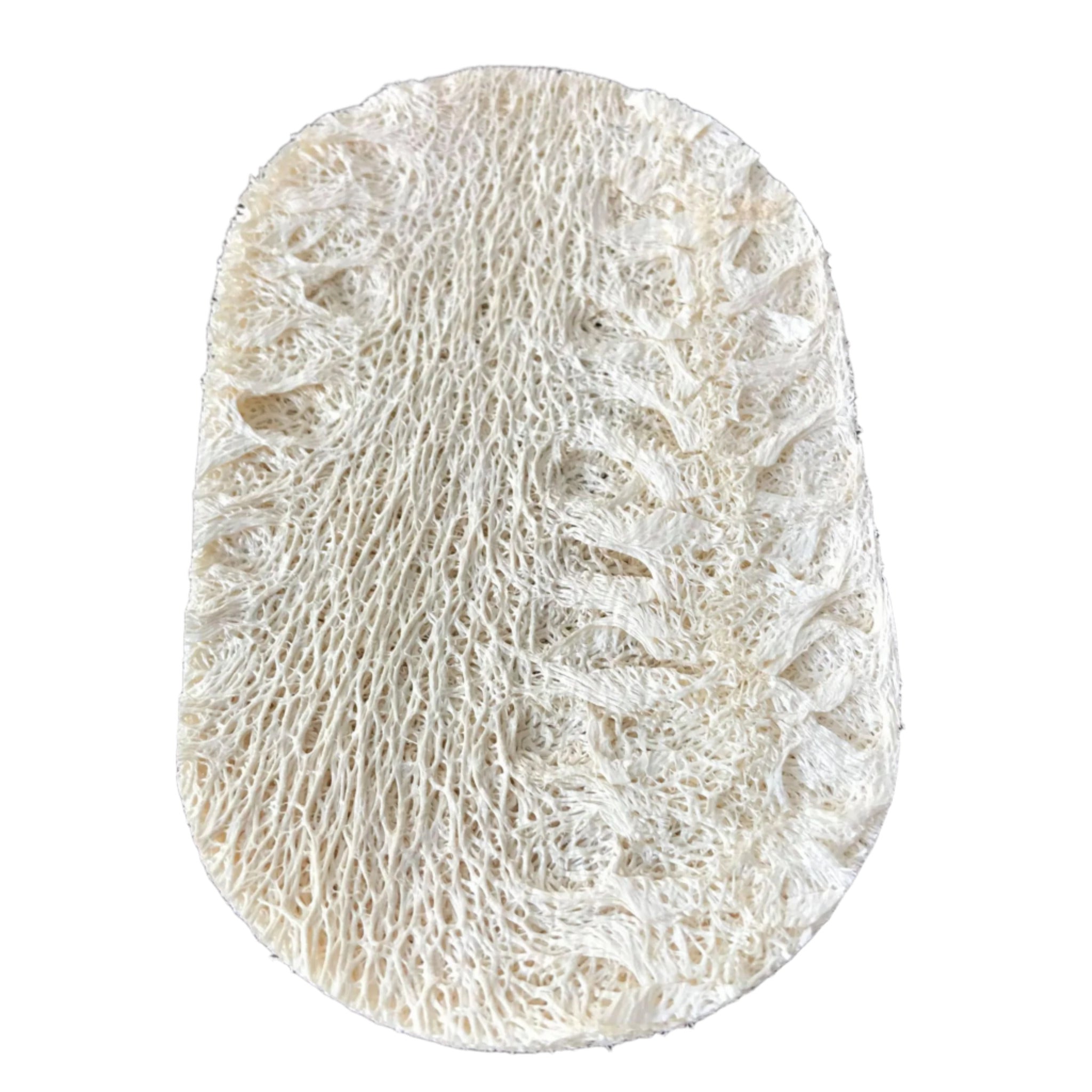 oval loofah slice become a compostable loofah sponge when soaked in water