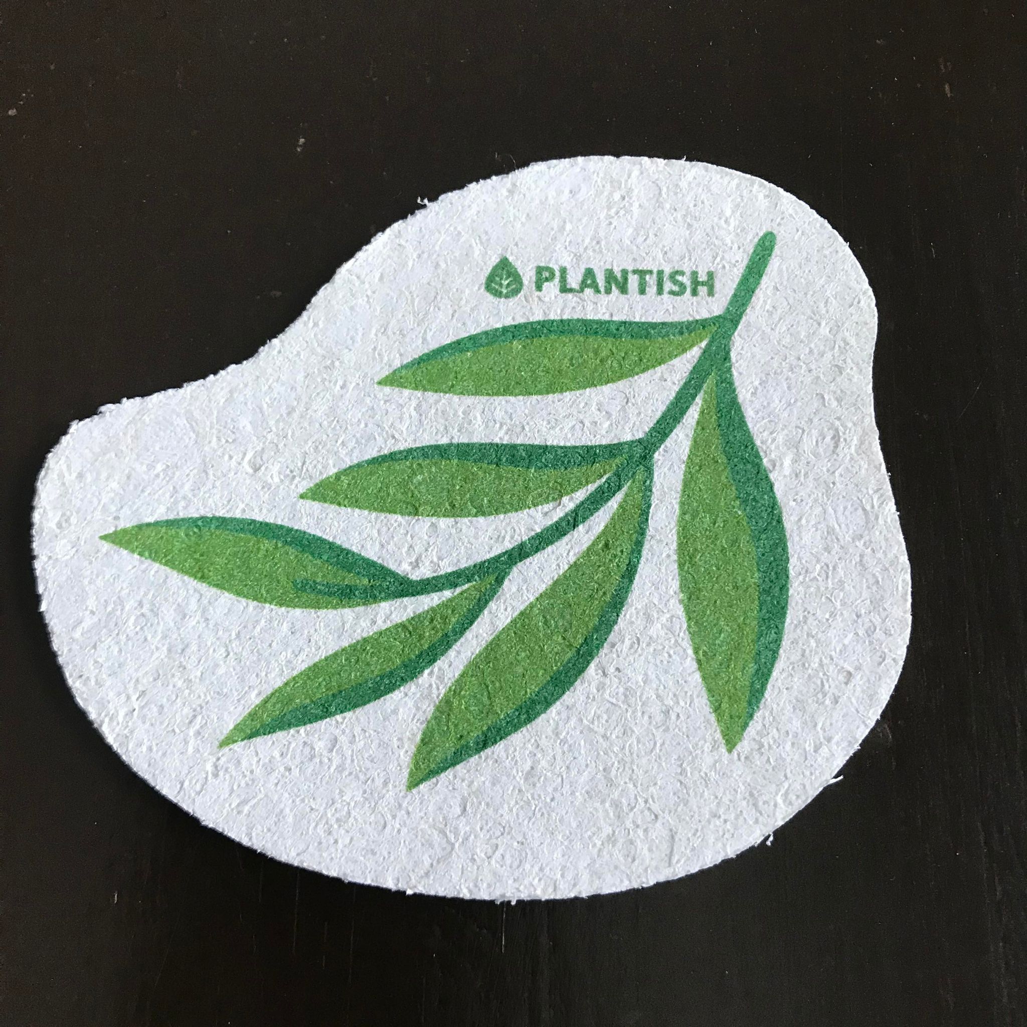 Compostable cellulose sponge with a eucalyptus leaf made by the Canadian brand Plantish