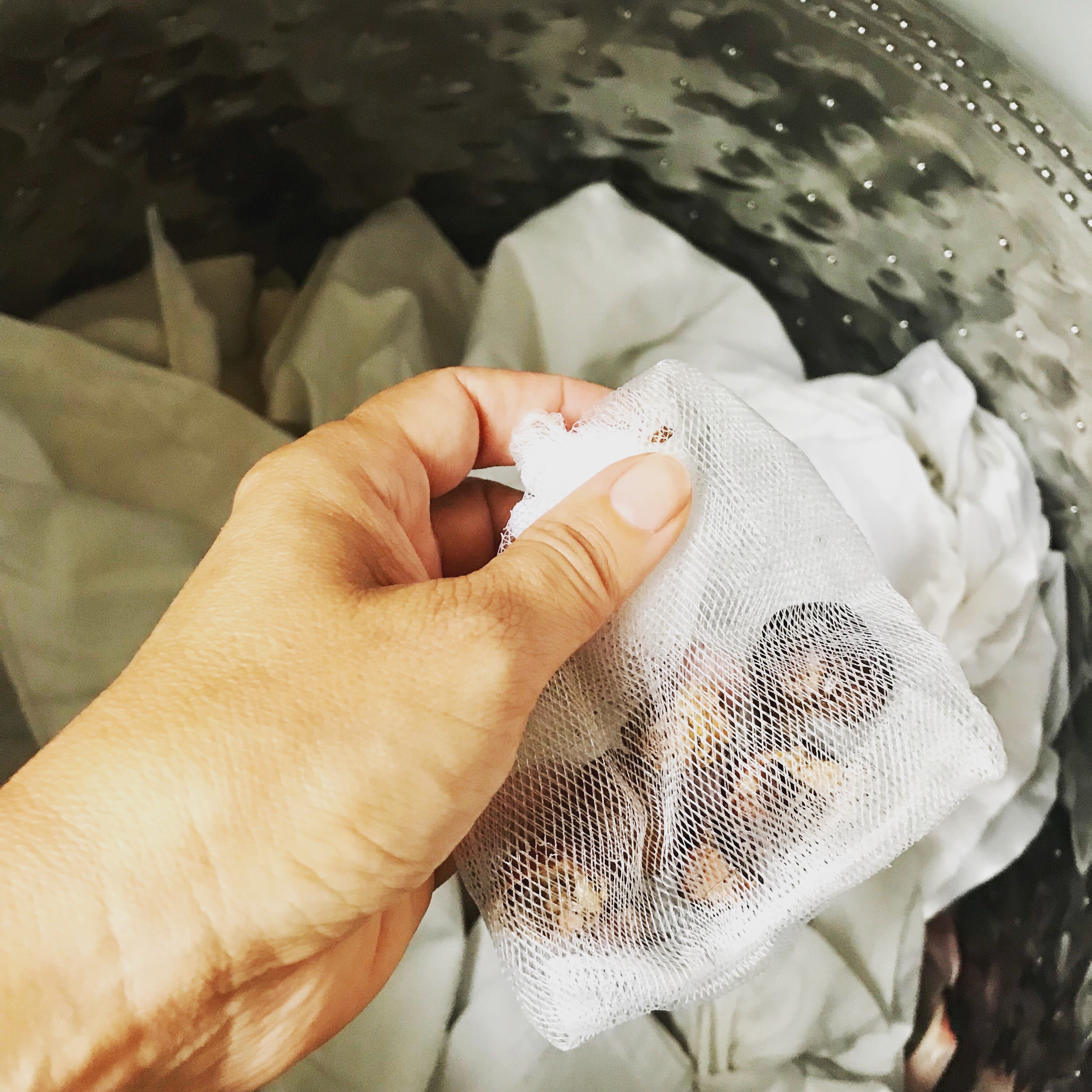 buy unscented organic soapberries for laundry in canada