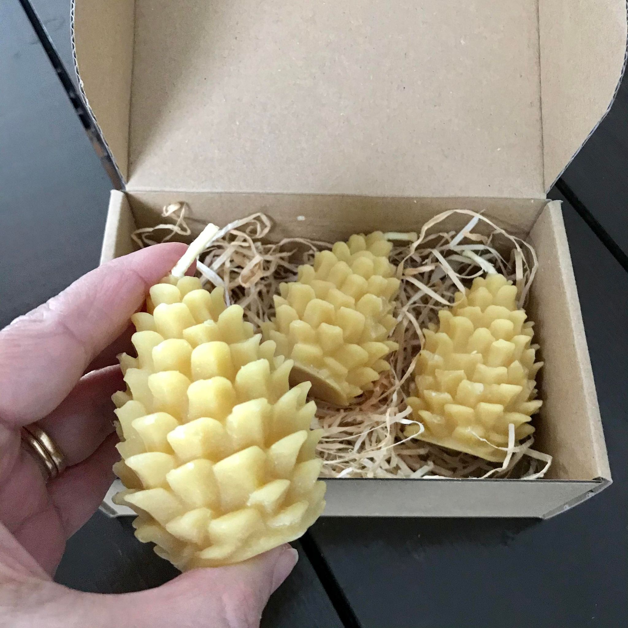 Pinecone Beeswax Candles