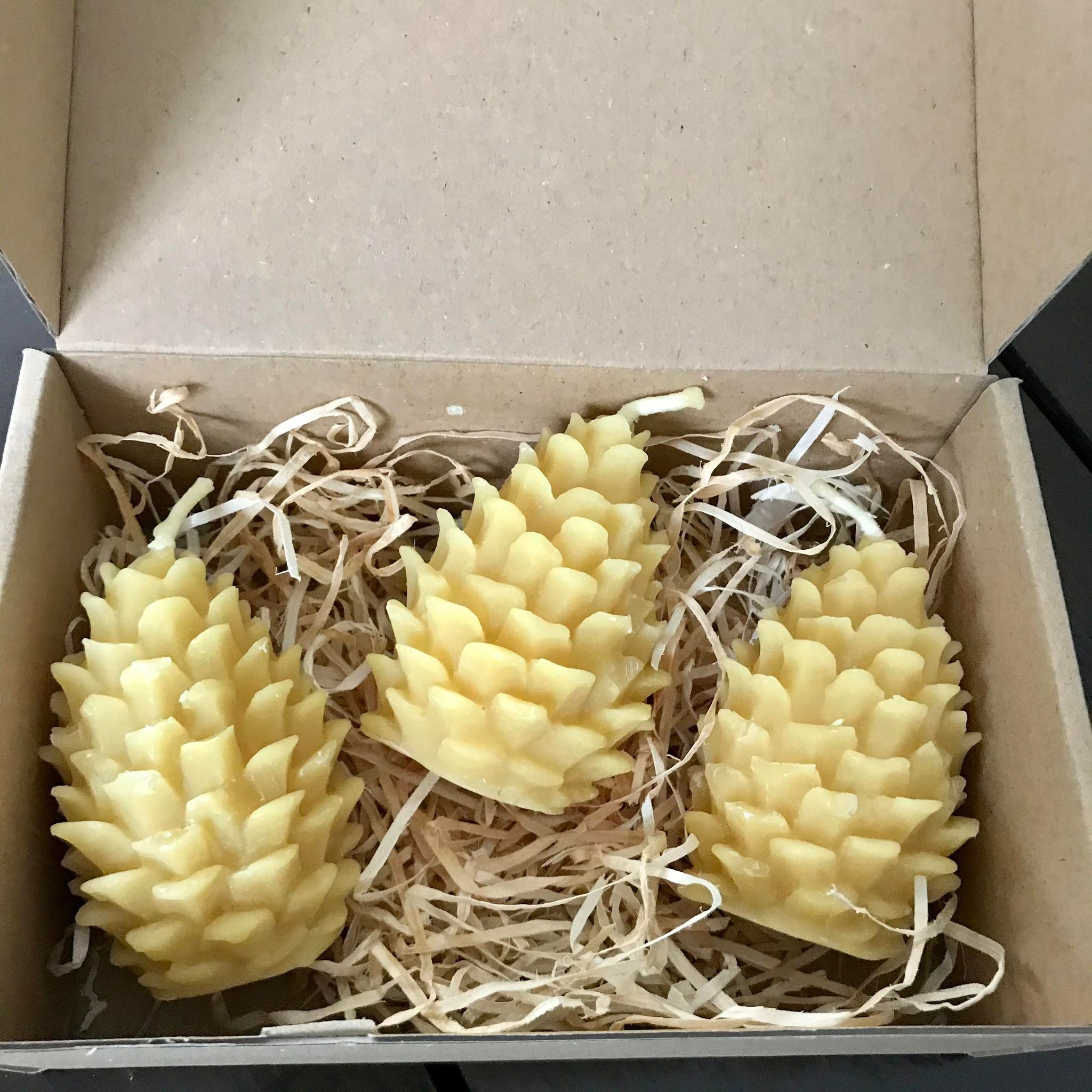 Pinecone Beeswax Candles