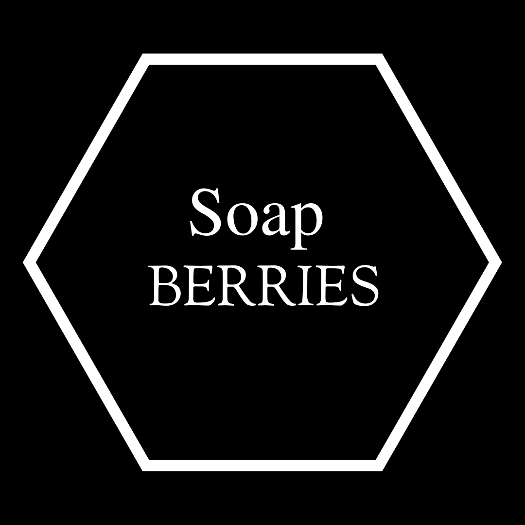 organic soap berries for laundry bathing and cleaning