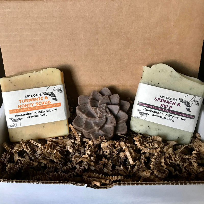 Set of 3 Canadian made handcrafted vegan soaps in a gift box featuring Turmeric & Honey Scrub (Litsea Cubeba and Cardamom)/Brown Succulent (Essential Oil Blend)/Spinach & Kelp (Eucalyptus Lemon and Peppermint