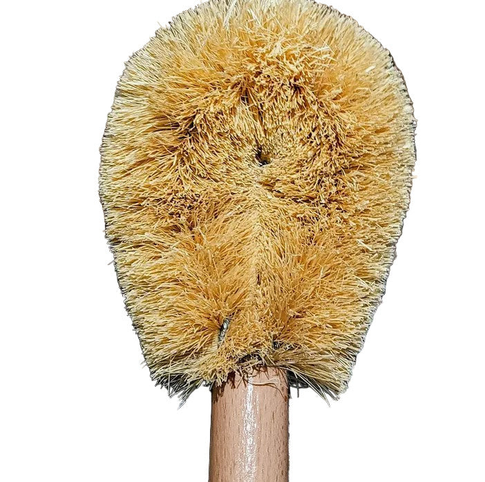 Close-up of Canadian-made sustainable toilet brush with natural plant-fiber bristles and beechwood handle, plastic-free and fully compostable.