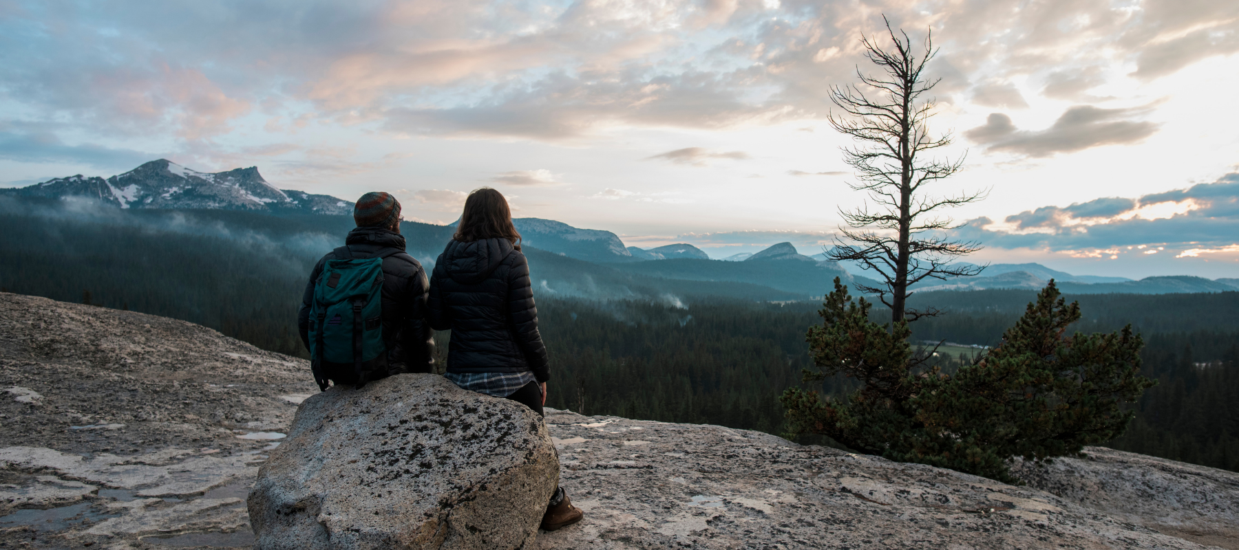 shop sustainable canadian brands healthy for you and the environment 