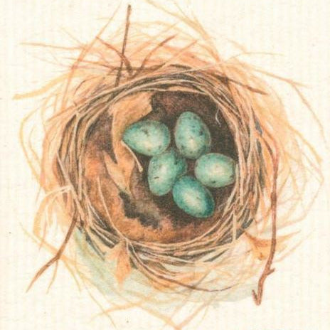 more joy swedish dishcloth with a bird's nest design