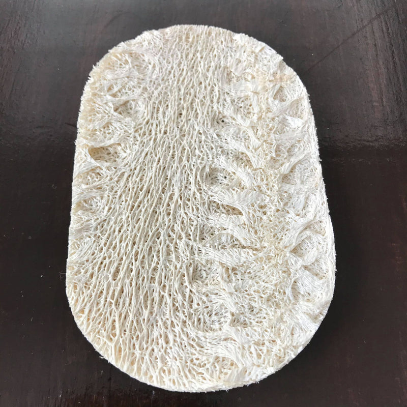 oval loofah slice become a compostable loofah sponge when soaked in water