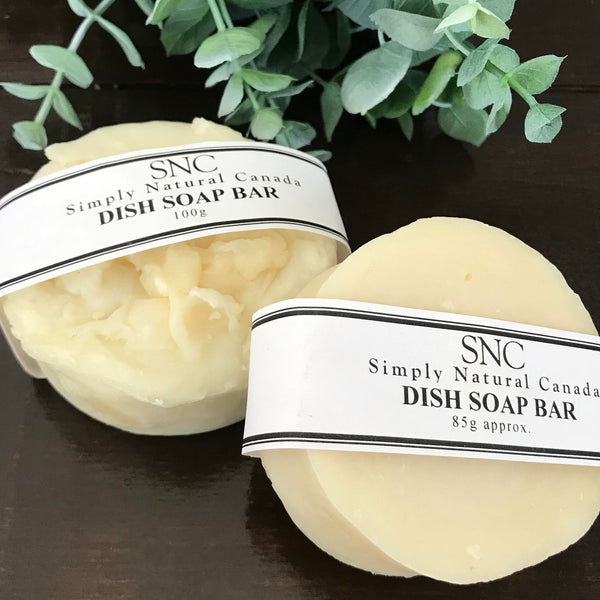 Two Canadian made plastic free dish soap bars in a 100 g rough top or 85 g flat top version handcrafted in small batches sitting beside a plant
